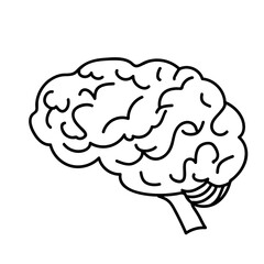 human brain vector illustration