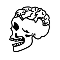brain illustration with skull