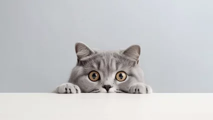 Foto op Aluminium A young cat curiosity peeked from behind a table with a grey background. Generative AI. © NaphakStudio