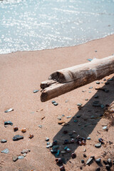 Rough snag on the shore in hot summer day
