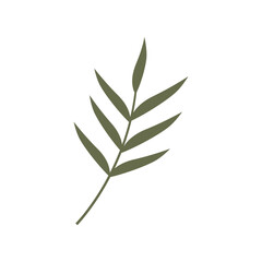 Fototapeta premium Leaf Vector Set