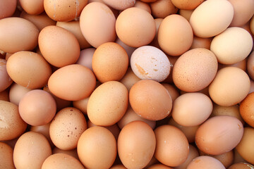 fresh chicken eggs neatly arranged, chicken egg background