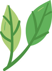Two leaf hand drawn flat style