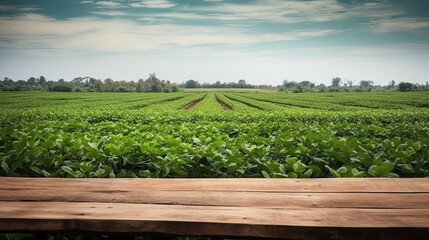 Soy Fields Stretching Beyond: Wooden Table Perspective - obrazy, fototapety, plakaty