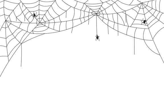 Halloween spider web border, spooky cobwebs with hanging spiders