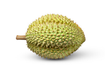 durian isolated on white background