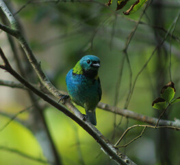 Natureza
