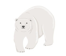 Fototapeta premium Adult polar bear. Vector flat cartoon illustration isolated on white background. The North animal.