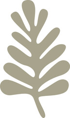 Leaves Branch Silhouette