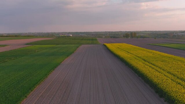 Drone shot above the fields and hills in Poland