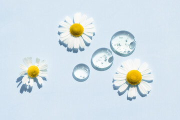 Chamomile flowers and drops of transparent liquid serum with bright light on a blue background.