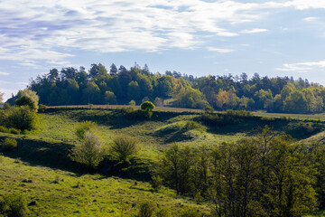 Obraz premium Rolling hills landscape in early morning.with trees and pasture land near Gota river in Sweden..