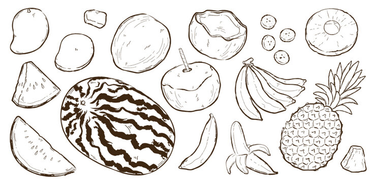 Set de ilustraciones dibujadas a mano de frutas tropicales. Vector