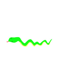Green snake Illustration 