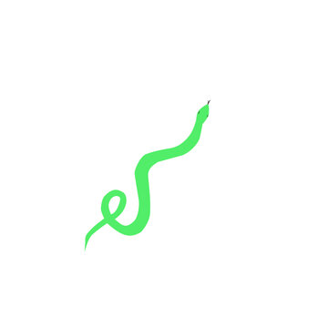 Green snake Illustration 