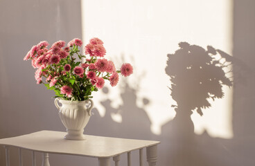 pink chrysanthemums in white vase on white interior