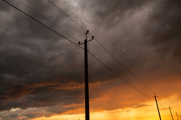 High-voltage power lines at sunset. Electricity distribution station. Electricity pylons on the background of the sky.
