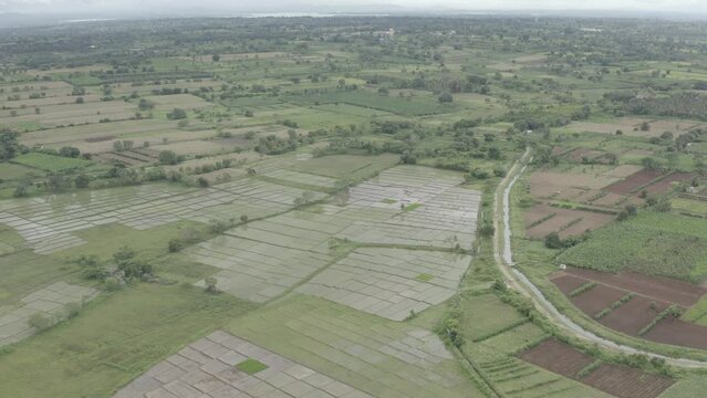 agriculture field_ Faddy _ Water canal _ Greenery