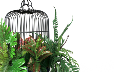 colorful flower and green paln leaves  in cage hanging decoration