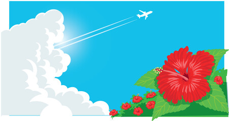 ハイビスカスの咲く夏の空