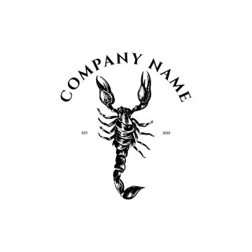 Scorpion black  and white