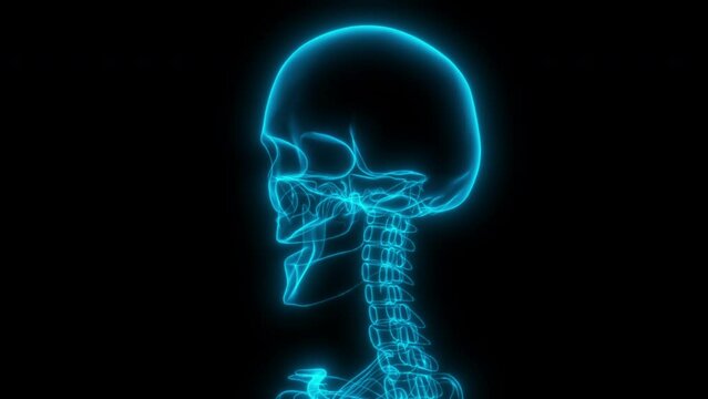 3D Holographic X-Ray Rotating View of Human Head Skull with Neck Vertebrae and Eye Sockets - Medical Animation