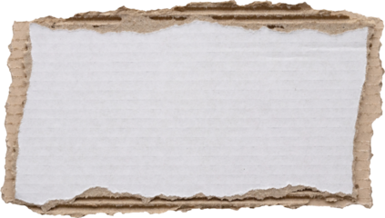 piece of white paper tear isolated on white background