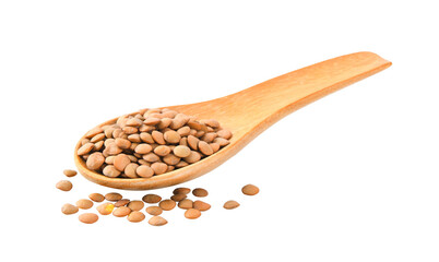 Brown Lentils in wooden spoon on transparent png