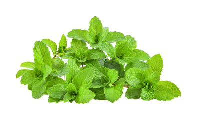mint leafs isolated on transparent png © sommai