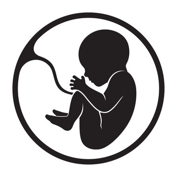 recommend clip art: Vector black silhouette human embryo. Isolated on white background