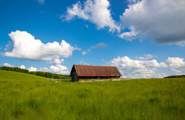 Fototapeta premium A wooden hut on a field with green grass