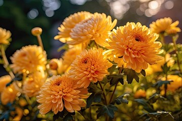 Portrait chrysanthemum flower with light exposure AI Generative - obrazy, fototapety, plakaty