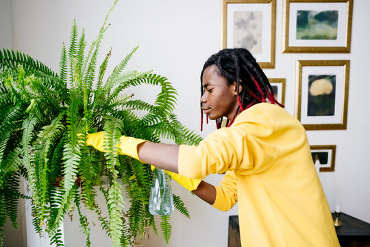 Young man taking care of plants at home