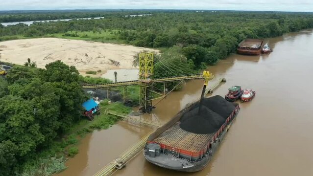 footage of coal hauling to a barge at a mining port in south kalimantan 