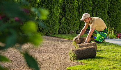 Caucasian Landscaping Worker Installing New Lawn Made From Natural Grass Turfs