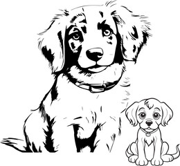 Dog animal black and white images