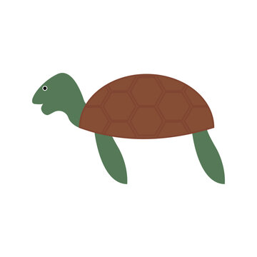 Turtle isolated on white background. Cute sea tortoise. Flat clip art of ocean creature. Cartoon vector illustration