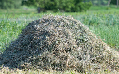 haystack in summer meadow