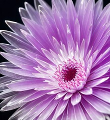 Crystal flower, pink chrysanthemum close-up, Generative AI Art Illustration 04