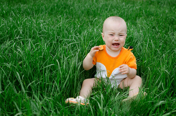The child, kid is sitting crying in the grass in summer. Concept bites of ticks and mosquitoes, insects, nature walk