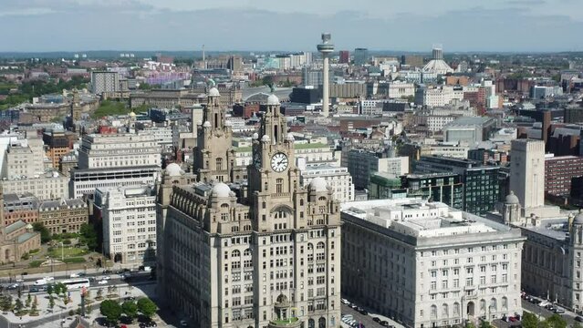 Liverbuilding reveal. Lovely Lovebirds in all their glory, look at them. Lovely Liverpool. 