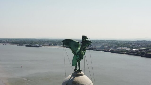 Close up shot and a reveal of the liverbird from the sky 