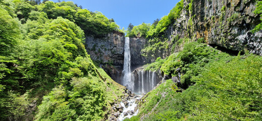 Fototapeta premium Waterfall in Japanese forest