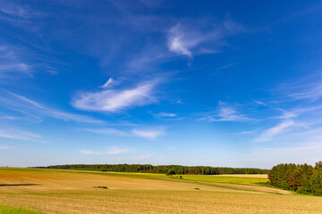 Summer fields in European countryside.