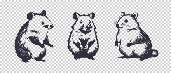 Vector set of cute graphic nice little mice or good quokies. Small rodents. Isolated background.