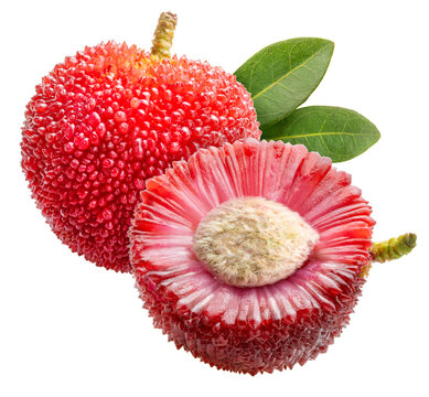 Arbutus berries or Red Yangmei fruit on white, Red Bayberry, Yumberry, Yamamomo, Waxberry on white PNG file.