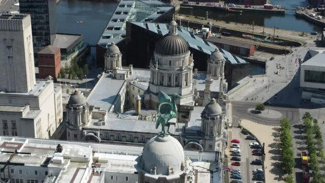 Liver building reveal of the birds from the sky