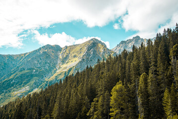 Obraz premium Mountain summer photo from High Tatras national park near Popradske lake, Slovakia. Sport area for bouldering.