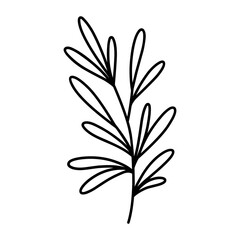 Cute branch with leaves isolated on white background. Vector hand-drawn illustration in doodle style. Perfect for cards, logo, decorations, various designs. Botanical clipart.