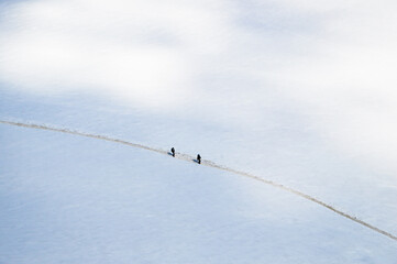 people hiking on snowy monte bianco 